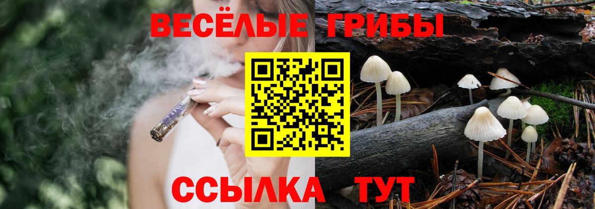 Хабаровск  Псилоцибиновые грибы мухоморы  Вход с VPN 
